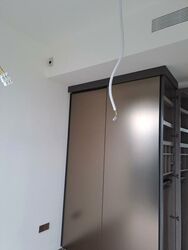 Leedon Green (D10), Condominium #504107921